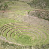 Terrasses agricole de Moray