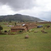 Ferme dans la région de Capachica