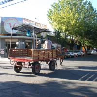 Hippomobile Talca