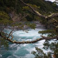 Eaux émeraude à Petrohue