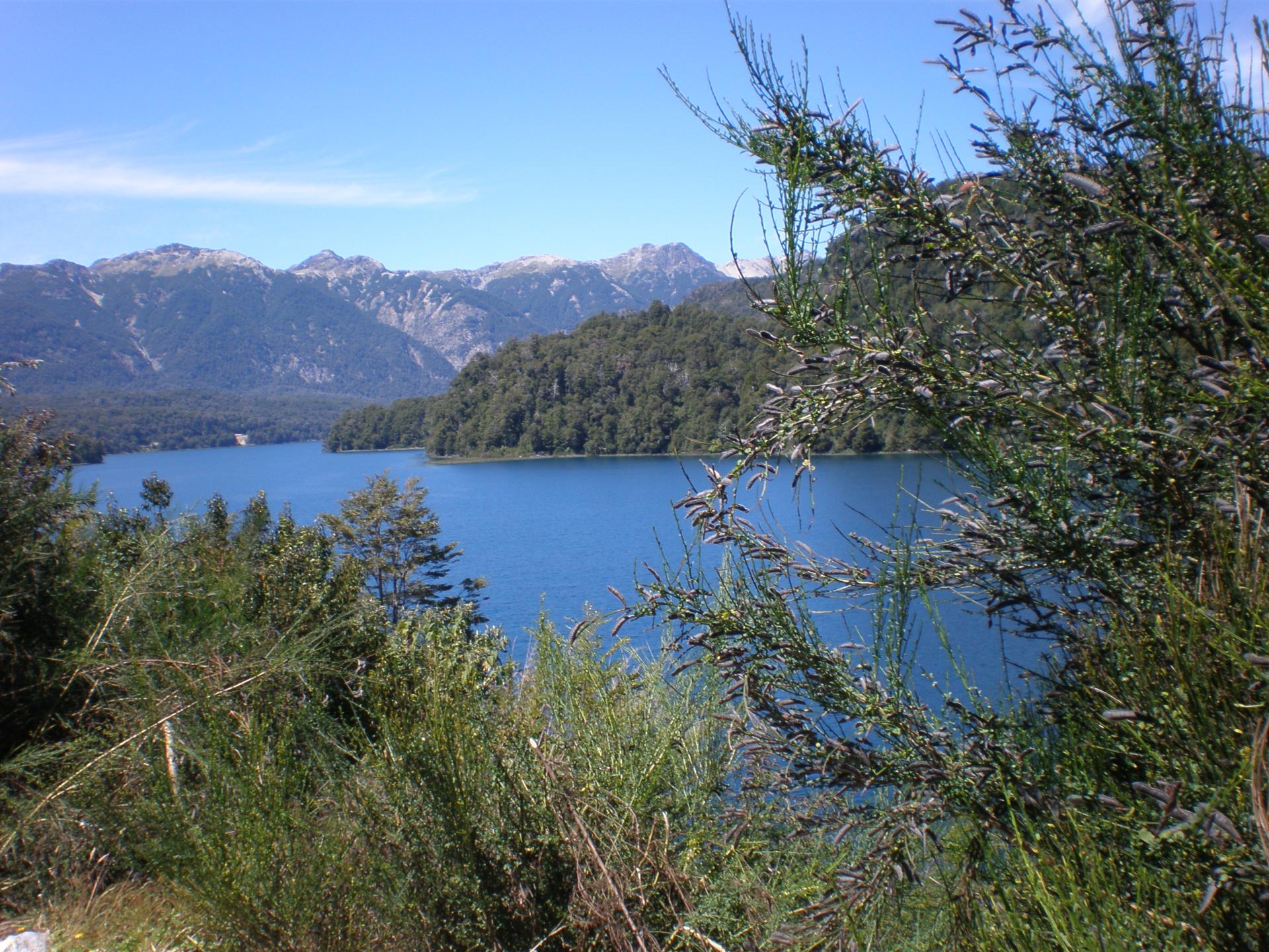 Lago Correntoso - Route des 7 lacs