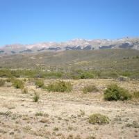 Paysage vers Cholila