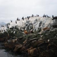 Croisière sur le canal de Beagle