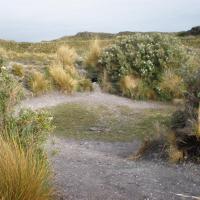 Traces d'habitat Yamana