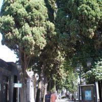 Cimetière Recoleta